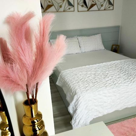 Dorobanti Suites Bucureşti Ngoại thất bức ảnh